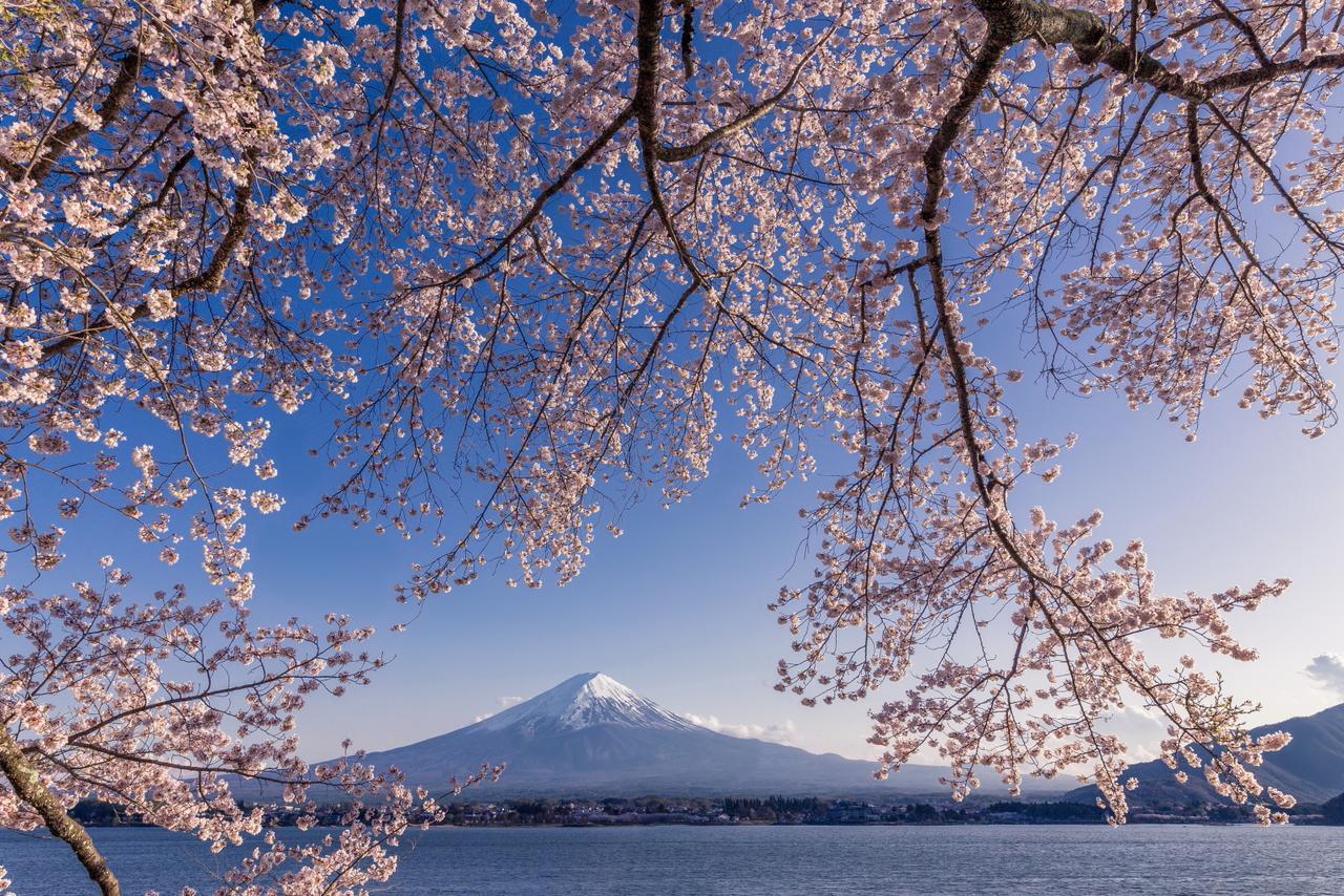 Villas Fuji Fujikawaguchiko Exterior photo